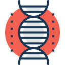 estructura del adn icon