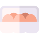 huevos icon