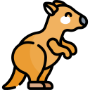 canguro icon