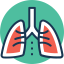 pulmones humanos icon