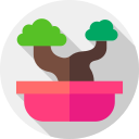 bonsai icon