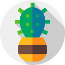 cactus icon