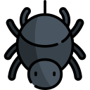 araña icon