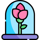 rosa 