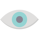 ojo icon