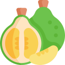 pomelo icon