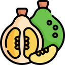 pomelo icon