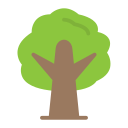 Árbol icon