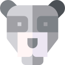 oso panda icon