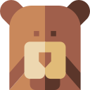 oso pardo icon