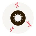 ojo icon