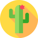 cactus icon