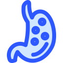 Stomach 