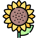 girasol icon