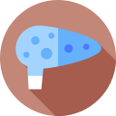 ocarina icon