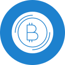 bitcoin icon