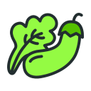 vegetales icon