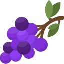 uvas icon