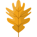 hoja de roble icon