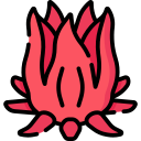 hibisco icon