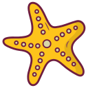 estrella de mar