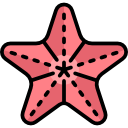 estrella de mar