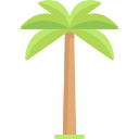 palmera