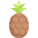 piña icon