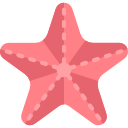 estrella de mar 