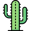 cactus icon