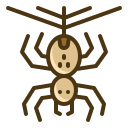 araña