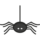 araña icon