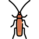 cucaracha icon