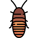 cucaracha silbante de madagascar icon