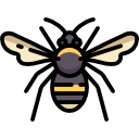 abeja icon