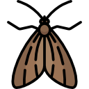 polilla icon