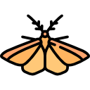 polilla icon