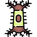 oruga icon