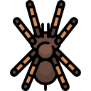 tarántula icon