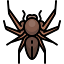 araña icon