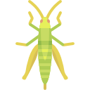 saltamontes icon