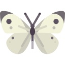 mariposa icon