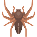 araña 