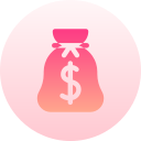 bolsa de dinero icon