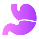 Stomach 