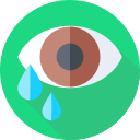 llorar icon