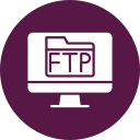 ftp icon