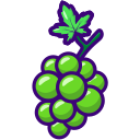 uvas icon