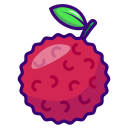 lychee icon