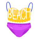 bikini icon